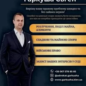 Юридичний захист у Києві.