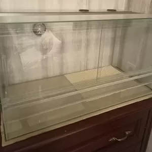 Тераріум для черепах