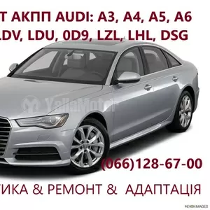 Діагностика та ремонт АКПП  Audi A3  A4 A5 A6 DSG6  DSG7 0AW LDV DL381