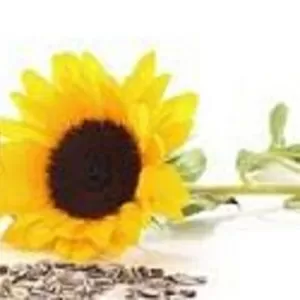 Скупка подсолнечного и соевого фузов. Скупка жиров. 