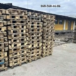 Куплю дерев'яні піддони бв всіх видів. 