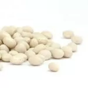 Закуповуємо квасолю для переробки та консервування