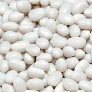 Квасоля оптом від виробника. 20 сортів в асортименті