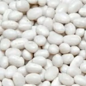 Закупка квасолі. Приймаємо різні сорти на переробку