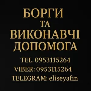 Борги та Виконавчі. Допомога