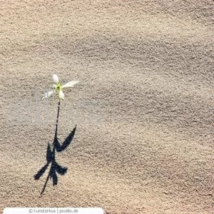 Пісок кварцевий сухий обезпилений в біг-бегах від 1т