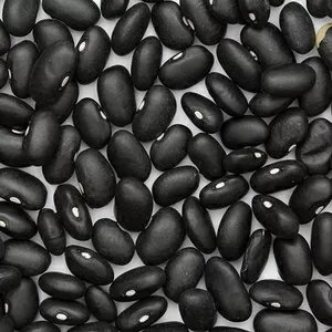 Купити квасолю. Квасоля в наявності. Продаж квасолі.