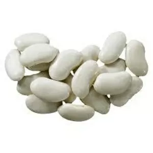 Закупівля квасолі для переробки та консервації