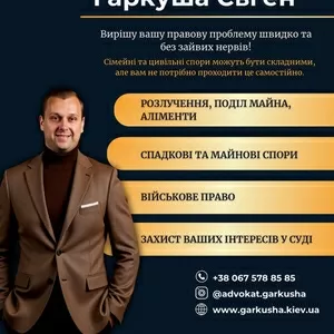 Цивільні та спадкові спори — правовий захист під ключ.