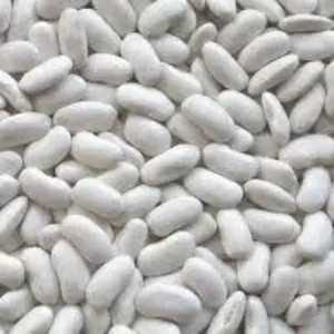 Купуємо оптом квасолю різних сортів на переробку,  консервування