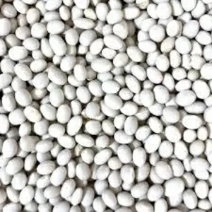 Продаж насіння квасолі. Посівний матеріал квасолі.