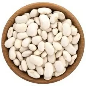 Купуємо квасолю оптом. Заберемо своїм транспортом