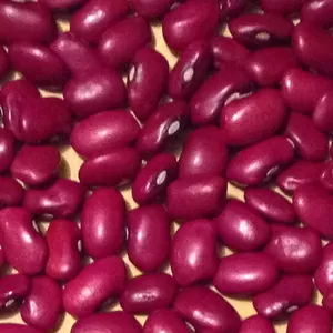 Великий вибір сортової квасолі.