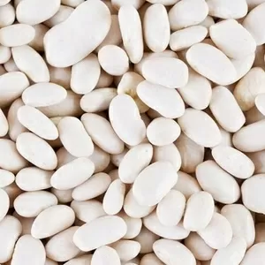 Продаж високоякісної квасолі відбірних сортів