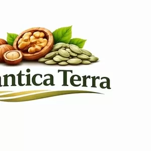 Стабільний постачальник волоського горіха та фундука Plantica Terra