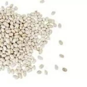  Закуповуємо квасолю великими партіями для переробки