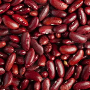 Оптовий продаж квасолі з доставкою