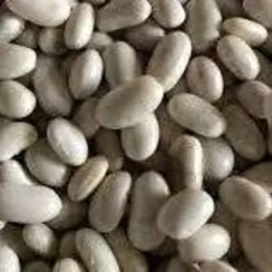 Насіння квасолі Неві Бінс,  Червона довга,  Пінто,  Червона Шап