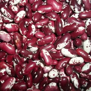  Квасоля оптом з доставкою по Україні від виробника