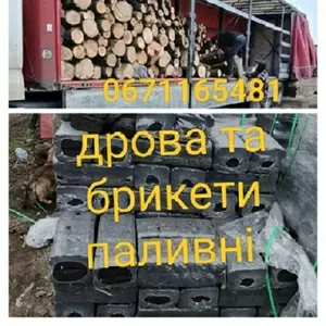 Дрова колоті та неколоті дуб,  граб,  береза  Одеса та область.