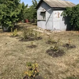 Продам дачу ,  Валківський район