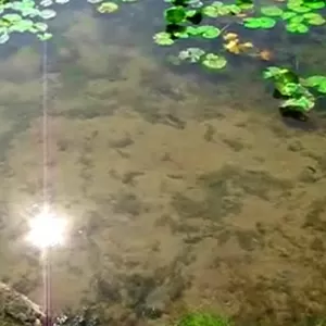 Чистим водоемы. Чистим бассейны. Чистим траншеи