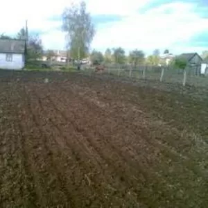 Продам деревяний будинок (старенький