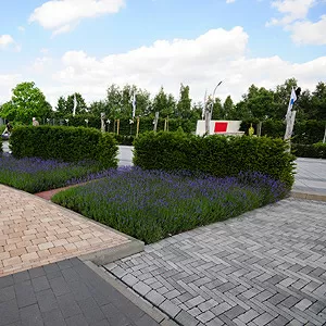 Тротуарная плитка от завода НБТ