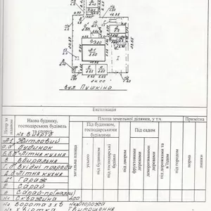 Продам дом в с. Копылы