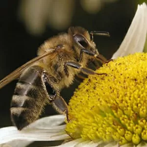 Интернет-магазины Тенториум в Харькове api.kharkov.ua