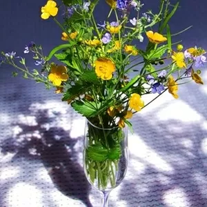 Оригінальні привітання на українській та російській мовах   до всіх св