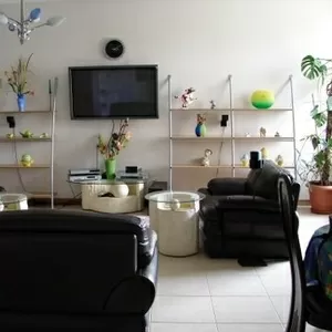 Сдам 3-х комнатную квартиру проспект Шевченко 29А