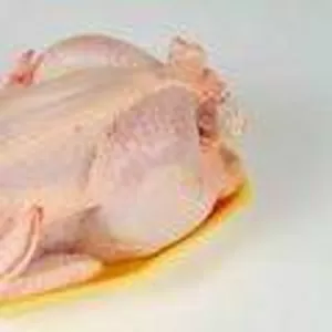 Продаю куриную продукцию