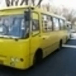 Пассажирские перевозки развозка Аренда автобуса Богдан
