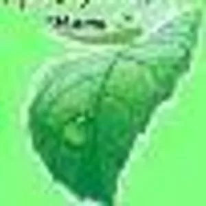 организация праздников!