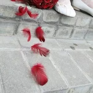 Свадебное оформление Цветами,  Шарами,  Арки,  Драпировка тканью.