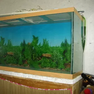 срочно продам аквариум?